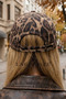 Lagranze Women's Luxury Leopard Pattern Premium Hat - 3