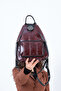 BACKPACK - 2