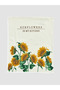 Lcw Home Ecru Sunflower Patterned and Embroidered 3-Pack Drying Cloths - 2