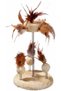 Spring Cat Toy, 25X15 Cm, Beige - 7