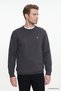 Cotton Thessaloniki Regular Fit Crew Neck Sweatshirt - 3