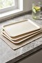 10-Piece Polypropylene Tray 37*53 Non-Slip Self-Service Tray, Cafe, Restaurant, Diner, Hotel, Tea Garden - 6