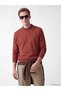 Southblue brown crew neck men's sweatshirt
