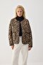 Leopard Pattern Jacket - 2
