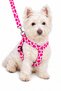 Adjustable Scarf, Chest Harness and Travel Strap Set of 3 - 3