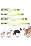 Reflective LED Dog Collar - Light Up Dog Collars for Safe Walking at Night - Super Bright Lighted Puppy Collar - Rechargeable for Dogs (Neon Green, X-Large) - 5