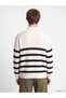 Esvab • Modern & Distinctive Stand Collar Striped Men's Sweater - 5