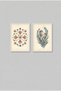 2-Piece Starfish and Seahorse White Wooden Framed Mdf Bathroom Painting Set Huhu3272 - Double Painting Set White Frame - 2
