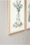 2-Piece Eucalyptus and Monstera Wooden Framed Mdf Painting Set - Spa and Botanical Bathroom Decor Huhu3267 - Double Painting Set Natural Wood Frame - 3