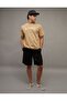 AE Icon Logo Graphic T-Shirt