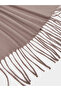 Brown Solid Fringed Classic Scarf - 3