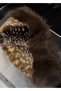Feather-Patterned Hat - 2
