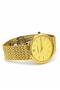 ELAN TRS6019 Men's Analog Watch - All Gold-Tone, Slim Classic, Sapphire Glass - 3