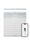 Body Scan - Smart Scale With Segmental Composition Analysis, Weighing Scales, Vascular Age, Visceral Fat, Heart Rate, iOS/Android
