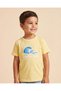 Boys Yellow Printed Crew Neck T-Shirt