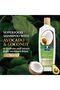 Advanced Coconut & Avocado Daily Moisture Shampoo, 340 ml - 4