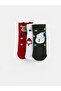 Quality Pieces from Çelebi Store Embroidered Baby Boy Socks 3-Piece Set