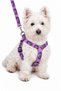 Adjustable Scarf, Chest Harness and Travel Strap Set of 3 - 3