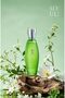 Soul Nature Eau De Parfum,100 ml - 4