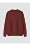 Rmz Gi̇yi̇m Farkiyla Zero Roba Collar Men's Thick Sweatshirt - 7