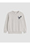 Printed Boys' Thick Sweatshirt for Style Enthusiasts from Uzg Store