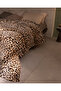 Linea Single Wellsoft Printed Blanket - Beige - 4