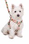 Christmas Series, Adjustable Scarf, Chest Strap and Travel Strap 3-Piece Set - 3