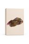 Summer Oud 60ml Eau de parfum (New Stock September 2026) - 2