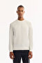 Men's Ecru Crew Neck Textured Knitwear Regular Fit Sweater A52Y5083