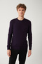 Men's Plum Crew Neck Non-Pilling Knitwear Sweater E 005000