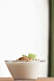 Vega Glass Breakfast Bowl Set of 6 Small Size 215 ml (Dessert/Cookie Bowl) - 6