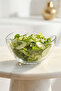 Vira Glass Salad Bowl Set of 2 Large Size 950 ml (Preparation Bowl, Presentation Bowl) - 2