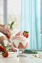 Destina Cam Ice Cream & Dessert Bowl Set of 2 Small Size 285 ml (Jam Bowl)
