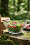 Artemis Glass Salad Bowl Single Extra Large 2150 ml (Presentation Bowl, Preparation Bowl) - 3