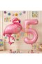 Flamingo Balloon 5 Year Old Birthday Balloon Set Flamingo Concept Balloon and Pink Number Balloon Birthday Set