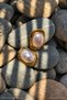Gold Old Money Steel Women's Earrings with Big Pearl Detail - 2