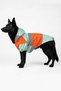 Dog Raincoat, Waterproof, Compatible with Back and Neck Collars, Snap Fasteners, Two-Level Adjustable - 3