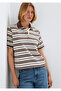 Striped Polo Collar Beige T-Shirt Regular Fit / Normal Cut 1614119-91723 - 3