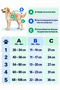 Female Dog Diaper – Anatomical Fit Model - 6