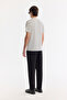 Men's Ecru Crew Neck Striped Soft Touch Regular Fit T-Shirt A61Y1087 - 4