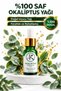 Eucalyptus Oil 10 ml 100% Pure and Natural Refreshing Censer & Diffuser Compatible - 2