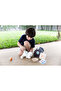 Pet Care Set — Wooden Pretend Play Set - 2