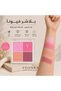 فيونا باليت احمر خدود نباتي BERRY BLENDING