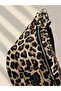 Leopard 26 - 5
