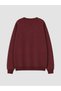 Burgundy Printed Boys' Thick Sweatshirt - 2