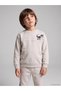 Gray Dinosaur Printed Boys' Tracksuit Set - 2