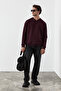 Elion Men's V-Neck Burgundy Sweatshirt - 6