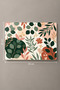 Glass Cutting Board Decorative Botanical Themed - Glass Cutting Board |   30cm X 40cm - 5
