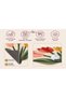 Eta Tulip Pattern Modern Woven Base Decorative Carpet Eta4363 - 4