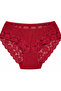Plus Size Floral Lace Transparent Detailed Stretchy Women's Panties